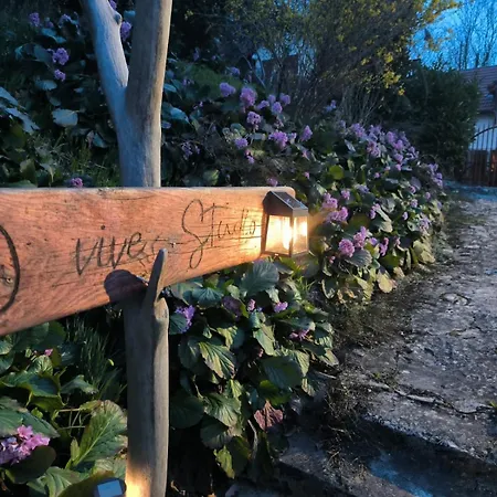 O Vive * Monnetier-Mornex